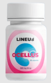 Ocellus
