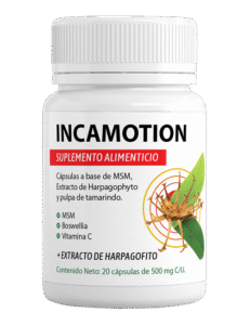 IncaMotion